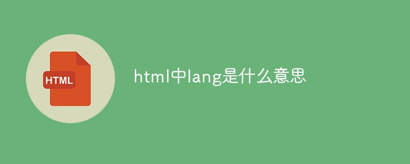 html中lang是什麼意思