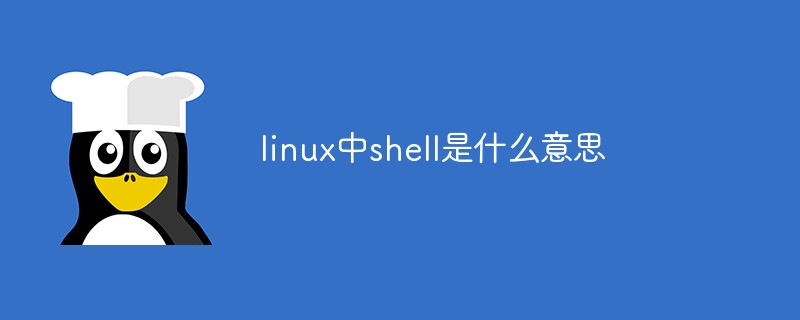 What does shell mean in linux?