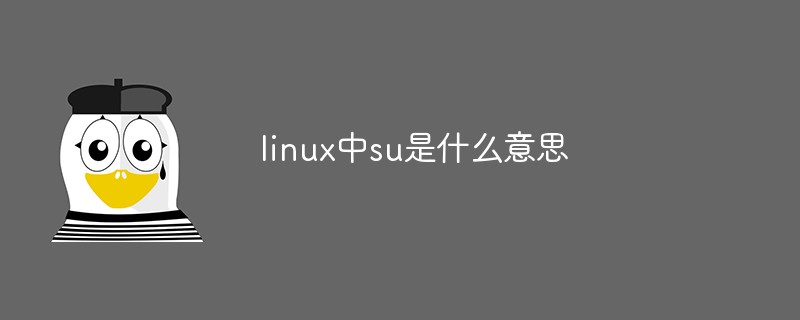 linux中su是什么意思