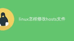 How to modify the hosts file in linux