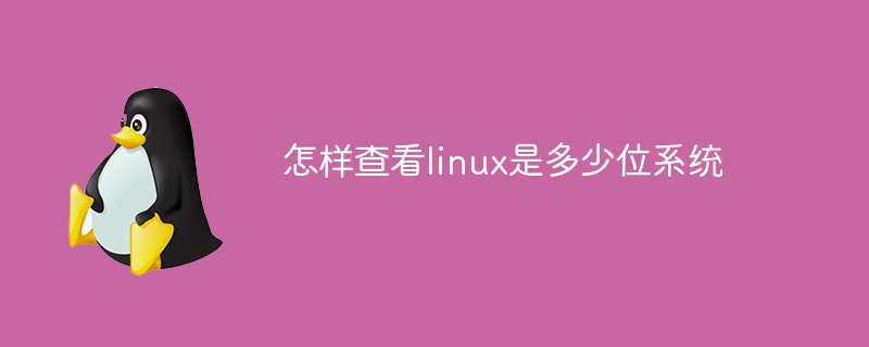 怎樣查看linux是多少位系統