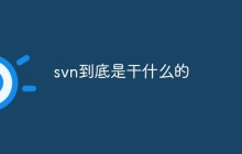 svn到底是干什么的