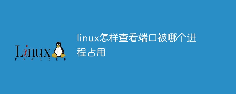 linux怎麼查看連接埠被哪個進程佔用