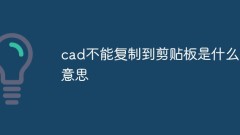 What does it mean that CAD cannot be copied to the clipboard?