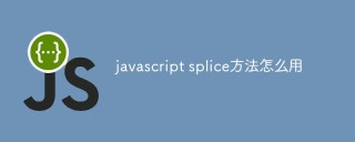 How to use javascript splice method