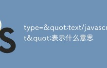 type="text/javascript"表示什么意思