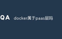 docker属于paas层吗