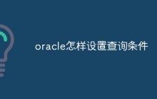 oracle怎样设置查询条件
