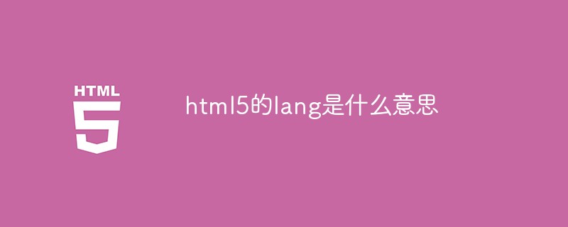 What does lang in html5 mean?