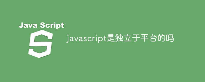 javascript是独立于平台的吗