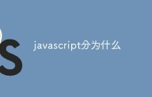 javascript分为什么
