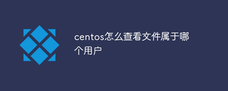 How to check which user a file belongs to in centos