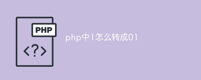 How to convert 1 to 01 in php