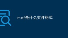 What file format is mdf