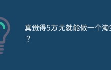 真觉得5万元就能做一个淘宝？