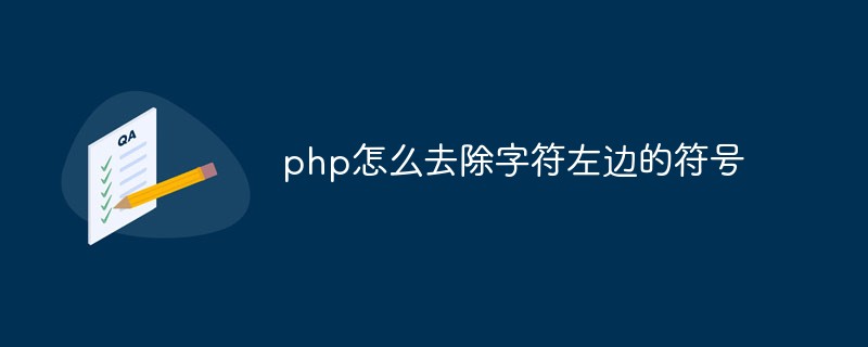 PHP에서 문자 왼쪽의 기호를 제거하는 방법