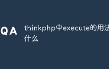 thinkphp中execute的用法是什么