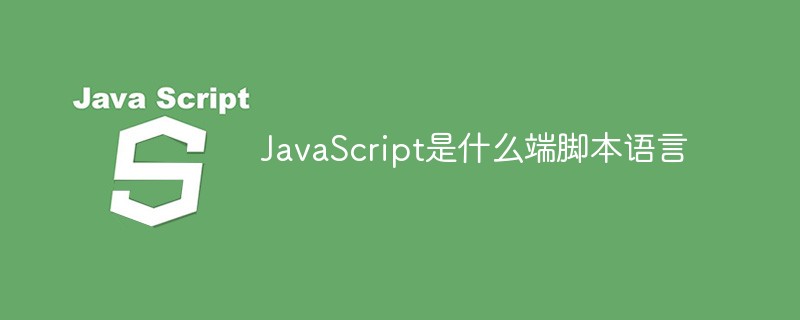 What kind of scripting language is JavaScript?