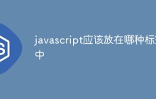 javascript应该放在哪种标签中