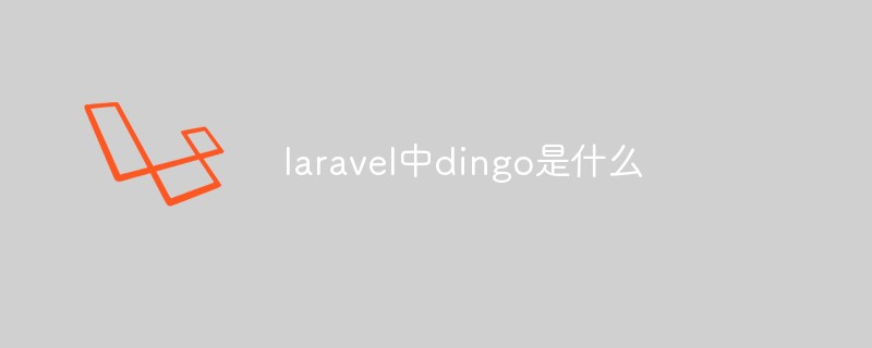 What is dingo in laravel