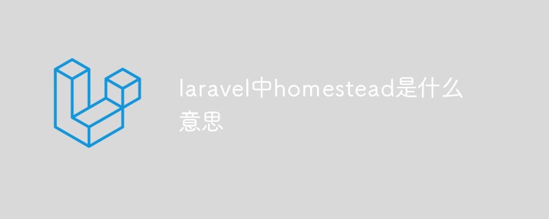 laravel中homestead是什麼意思