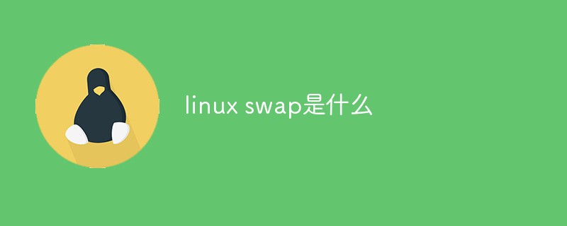 linux swap是什么