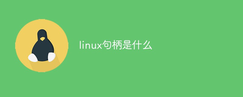 linux句柄是什么