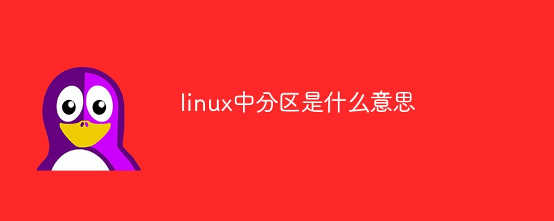 linux中分區是什麼意思
