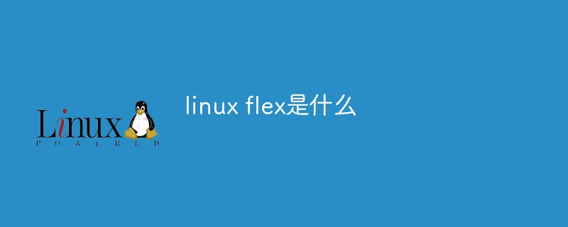 Was ist Linux Flex?