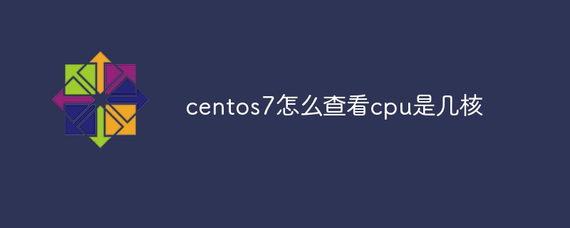 How to check how many cores the CPU has in centos7