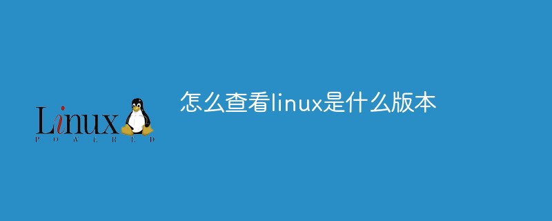 怎麼查看linux是什麼版本