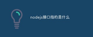 nodejs接口指的是什么
