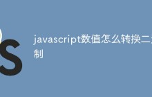 javascript数值怎么转换二进制