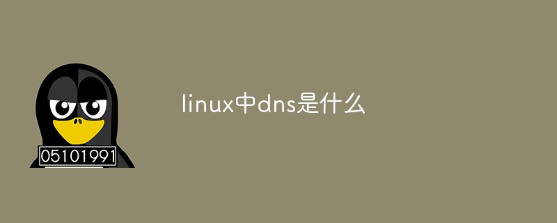 LinuxのDNSとは何ですか