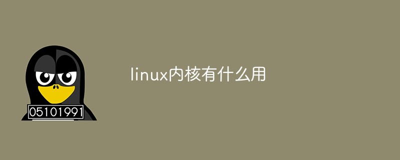 What is the use of linux kernel