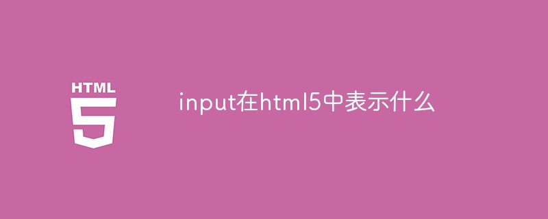 What does input mean in html5