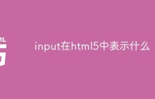 input在html5中表示什么