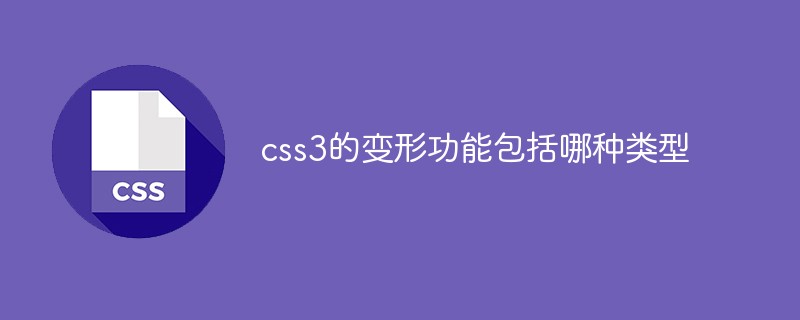 CSS3에는 어떤 유형의 변형 기능이 포함되어 있나요?