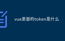 vue里面的token是什么