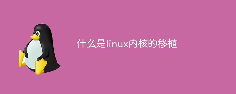 什麼是linux核心的移植