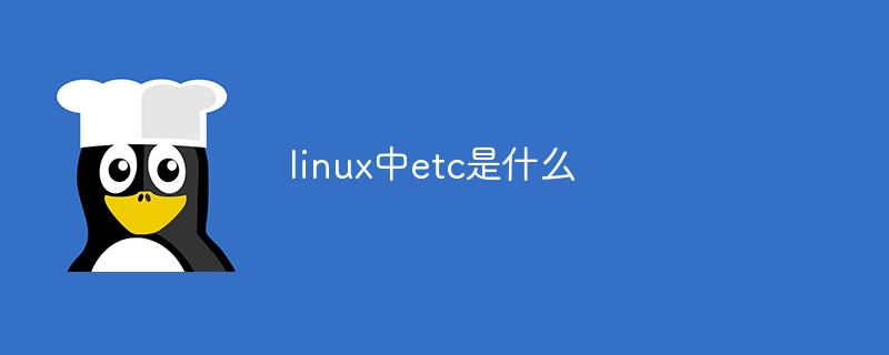 linux中etc是什麼