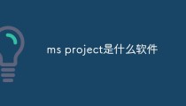 ms project是什么软件