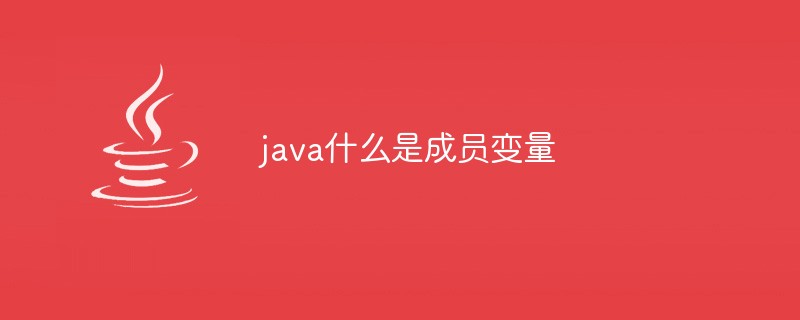 java什么是成员变量