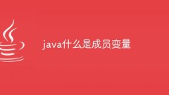 java什么是成员变量