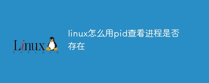 linux怎么用pid查看进程是否存在