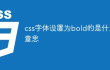 css字体设置为bold的是什么意思