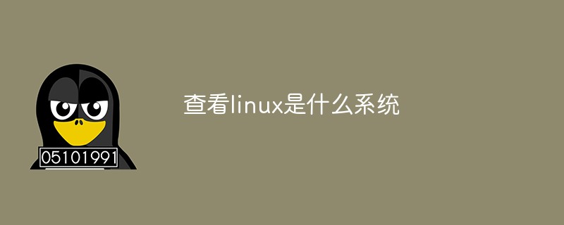 查看linux是什麼系統