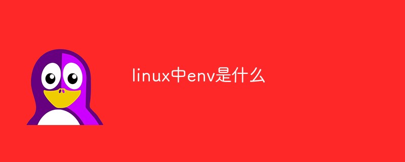 What is env in linux