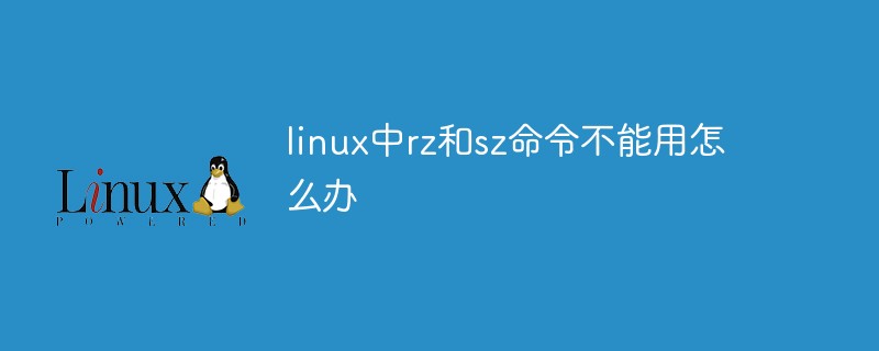 Was soll ich tun, wenn die Befehle rz und sz unter Linux nicht verwendet werden können?