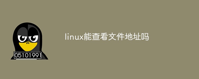 Linuxはファイルアドレスを確認できますか?